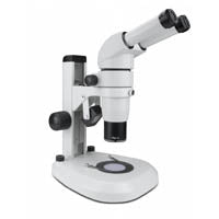 Binocular Microscopes