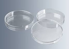 DISH PETRI 100x10MM Glass Comp. Set