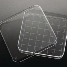 DISH PETRI 100x100x15mm SUARE PS 10/PK